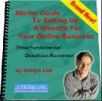 Product picture Starter Guide To Setting Up A Website 