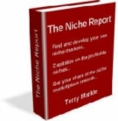 Product picture The Niche Report 